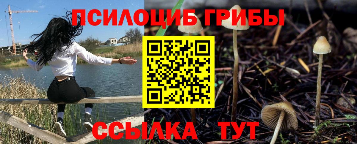 Псилоцибиновые грибы Magic Shrooms Ахтубинск