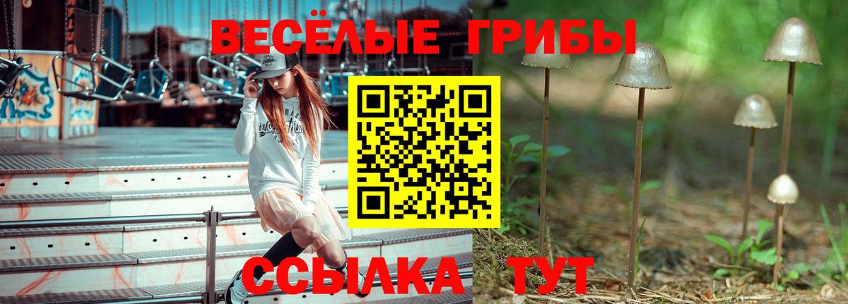 Галлюциногенные грибы Cubensis  Вход с VPN  Ахтубинск 